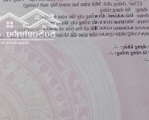 chính chủ gửi bán lô đất mặt tiền nguyễn văn nghị, mỹ xuân - phú mỹ