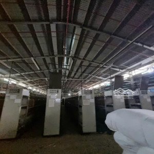 cho thuê kho xưởng kcn lê minh xuân, bình chánh,khuôn viên : 3.700m2, xưởng : 2.200m2, pccc tự động