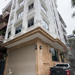 chính chủ cho thuê căn hộ cao cấp 2n1k full đồ xây mới có hầm để xe