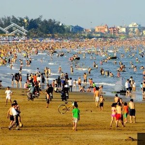 Cửa Lò: Bãi Tắm Lý Tưởng Nhất Vn - Giá 30,x Triệu/m2: Nhà Vườn, Biệt Thự Cửa Lò Beach Villa