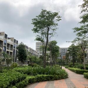 Cho Thuê Nhà Phố Hồ Thuận Thành Bắc Ninh