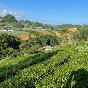 bán lô đất siêu đẹp - cơ hội đầu tư cực hot tại mộc châu