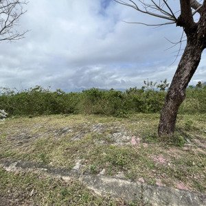 chính chủ gửi bán lô đất tại khu golden hills