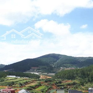 cho thuê đất đẹp chính chủ 400m2 kdc an sơn, phường 4, đà lạt