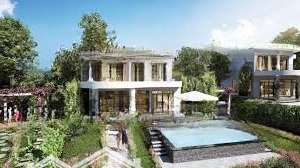 cơ hội đầu tư sinh lời vượt trội biệt thự the forest villas, hòa bình - giá chỉ 17.5tr/m2
