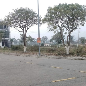 hàng hiếm tại kđt mới kim sơn, đông triều, quảng ninh, 53 triệu / m2, 330 m2