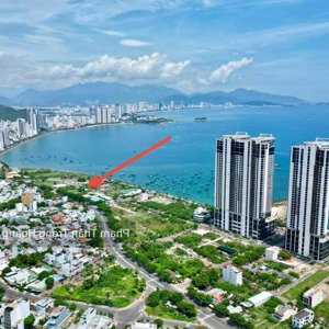 đất biệt thự đường xuân thuỷ, ngay bến du thuyền quốc tế ana marina nha trang 231m2 giá 52trđ/m2