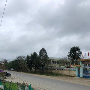 Trung Tâm Khu Dân Cư đông đúc Xã Bình Trị, đối Diện 2 Trường Học Thuận Tiên Buôn Bán
