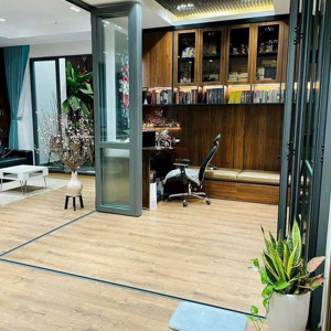 cho thuê căn hộ 120m2 2pn chung cư phoenix vũng tàu, nội thất sang trọng. giá thuê: 14 triệu/ tháng