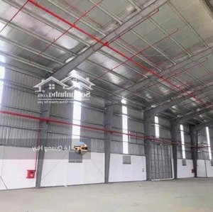 Cho Thuê Nhà Xưởng Tiêu Chuẩn Tại Thái Bình Phù Hợp Doanh Nghiệp Fdi Diện Tích: 3500m2, Có Pccc