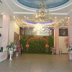 Cho Thuê Tòa Nhà 400m2, 5 Tầng Thành Phố Cẩm Phả, Hạ Long, Quảng Ninh