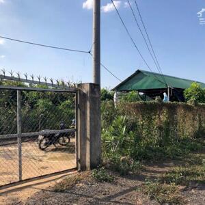Bán Nhà Vườn 1.1 Ha Xã Hưng Thịnh, Trảng Bom, Đồng Nai