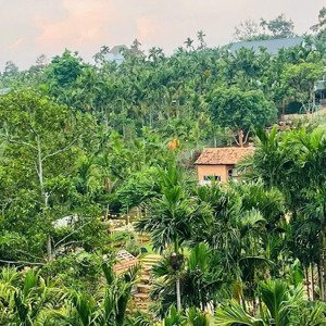 bán căn villa sịn xò tại hoà thắng, tp. buôn ma thuột - giá 3,1 tỷ
