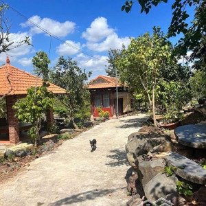 Chính Chủ Cần Bán Khu Nghỉ Dưỡng 1.1 Hecta (11.000m2) Long Phước Tp Bà Rịa. Sổ Hồng Thổ Cư Giá Rẻ