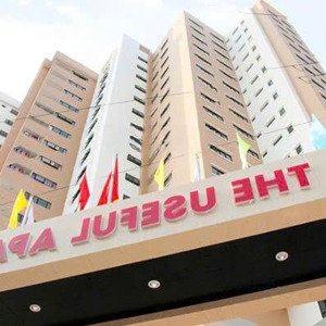 bán căn hộ chung cư the useful apartment, 60 m2, 2pn, 2wc tại lạc long quân, tân bình, tp. hcm