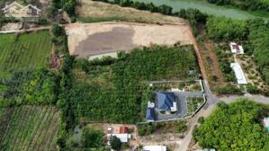 CẦN SANG LỖ NỀN ĐẤT NGAY TT DẦU TIẾNG 25X40=1000M2 ODT VIEW SÔNG SG MT ĐƯỜNG BÀU SEN GIÁ 550 TRIỆU