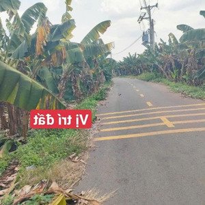 bán 1200m2 đất cây lâu năm, ngang 15m mặt tiền nhựa, xã sông thao
