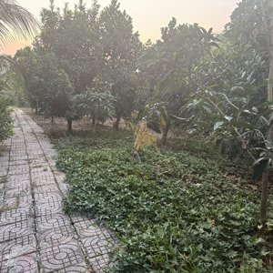 bán gấp nhà vườn 2257m2 có 300m2 tc giá 30 tỷ hướng đb đường xe hơi qh đất gđ bank cho vay 70%