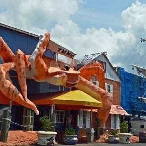 Cho Thuê Nhà đất 900m2 Và 1.900m2 Gần Tòa Tháp Evn Phố Cửa Bắc