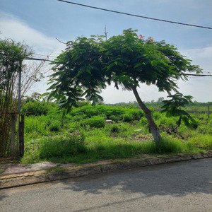 Cho Thuê đất Mặt Tiền Thạnh Thới Long Hòa Cần Giờ