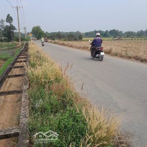 bán đất trồng cây lâu năm có thể xin lên thổ cư