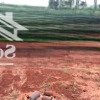 cơ hội đầu tư siêu hời đất đẹp tại mang yang, gia lai