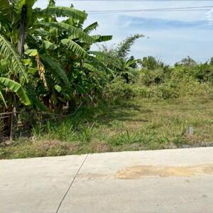 Bán đất ngộp ngân hàng, đường bê tông Lộc Bình, DT: 172m2 thổ cư, SHR chính chủ