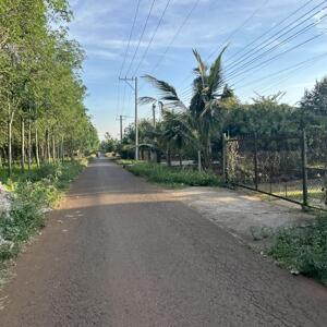 BÁN 1100m2 CÓ 100m2 ĐẤT NGAY KHU DÂN CƯ GIÁ TỔNG 1,4 TỶ LH 0833338828