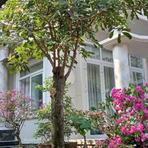 Cần bán BIỆT THỰ SANG TRỌNG trong khuôn viên đất rộng 2.400m2 sát DT 870 dẫn Cầu Rạch miễu 2.