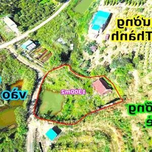1300m2 nghỉ dưỡng view thời kỳ Pháp thuộc cho cô chú nào muốn quay về quá khứ