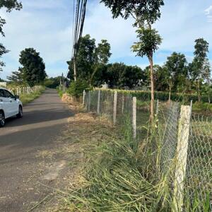 Cần bán 2000m2 có 300m2 thổ cư mặt tiền đường nhựa Thanh Bình - Trảng Bom gần sân bay Long Thành