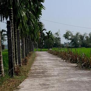 Bình quý thăng bình - quý phước 145