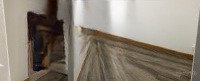 cho thuê nhà tập thể giảng võ, phường giảng võ, ba đình, hà nội