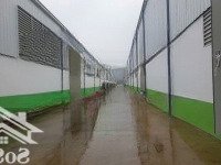 Cho Thuê Nhà Xưởng Tại Thanh Hóa Phù Hợp Doanh Nghiệp May Mặc, Có Pccc Tự động, Giá 50k/m2/tháng