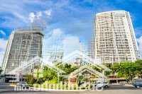 ms thủy dic! tổng hợp những căn hộ dic phoenix 1 - 2 - 3 phòng ngủ đang cho thuê t4/2025