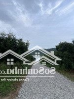 rẩy sieu đẹp 6hac có maka 1800 cây cf rồi gỗ xưa giáp sông có thổ cư