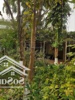 đất đẹp và nhà xưởng: 270m2, 300m2, 500m2.1000 và 2000m2 ngõ phố an dương, yên phụ, tây hồ, hà nội