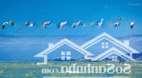 bán đất thổ cư 277m cách biển 200m, nằm trong khu lướt ván diều mỹ hòa cơ hội đầu tư sinh lời