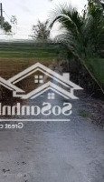 bán đất ngộp(3072 m2 thổ cư 240m2)tại xã trung an, củ chi, giá ưu đãi 5,9 tỷ