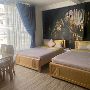 Bán Nhà 196m2 mật độ xây 80% Phan Chu Trinh, Phường 9, Đà Lạt
