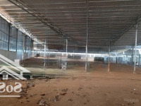 bán kho xưởng 1,25ha có kho 7400m2 kcn krông buk - đăk lăk