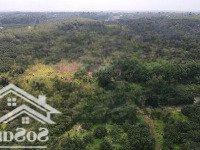bán nhà vườn 32757m2 tại sông xoài - tp phú mỹ giá 49tỷ chỉ 1,5tr/m2
