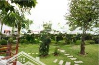 (thông tin chính xác) độc quyền bán bt bason rẻ nhất thị trường: 225m2-165tỷ; 325m-349tỷ; 438m-540t