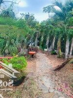 Bán Nhà Vườn 518m² Long Phước, Tp Bà Rịa Vị Trí đẹp, Phát Triển Kinh Doanh