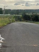 bán 1,7ha tại tân phước đồng phú bình phước, đang xin chủ trương skc