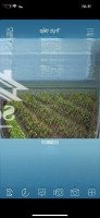 đất Có Nhà Vườn Trồng Rau, Có Nhà Cấp 4 ở