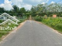 chính chủ cần bán gấp 1200 m2 đất có sẵn 100 m2 thổ cư tại bình dương