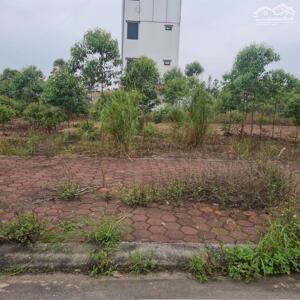 Bán Đất Đấu Giá Cẩm Lý, Lục Nam, Bắc Giang. 90m2- MT 5m. Giá 1,3 tỷ