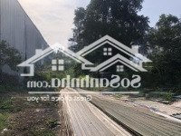 Bán Mảnh đất Gần 2,9 Công Mặt Tiền đường Tuyến Tránh (đường 3/2) - Dương đông - Thành Phố Phú Quốc