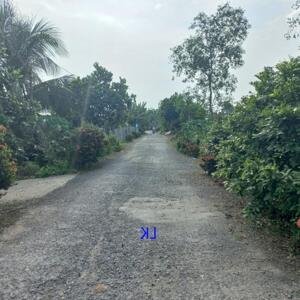  Bán Vườn Mít: 14.000m² (30m X 480m, Thổ 300m²) Đường Nhựa 3.5m, Xã Láng Biển, H Tháp Mười. Đồng Tháp